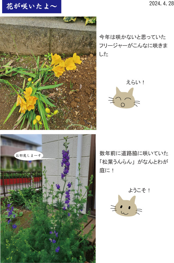 �t���[�W���[