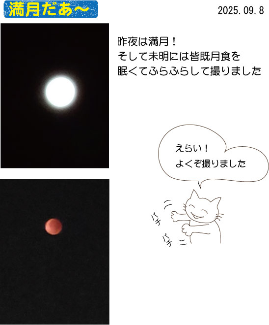 �����E�F�����H