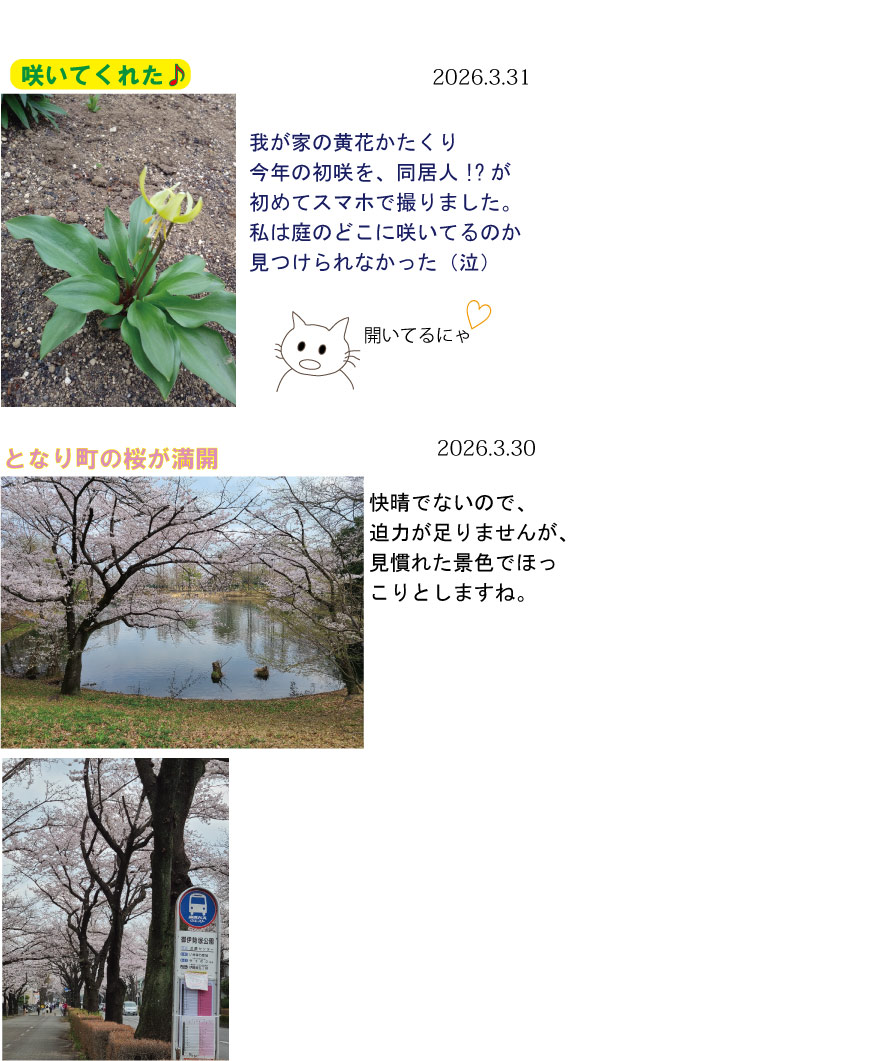 ��������̉�